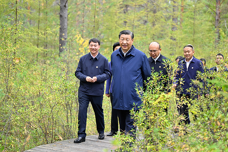 9月6日至8日，中共中央總書記、國家主席、中央軍委主席習(xí)近平在黑龍江考察。這是6日下午，習(xí)近平在大興安嶺地區(qū)漠河市漠河林場自然林區(qū)考察